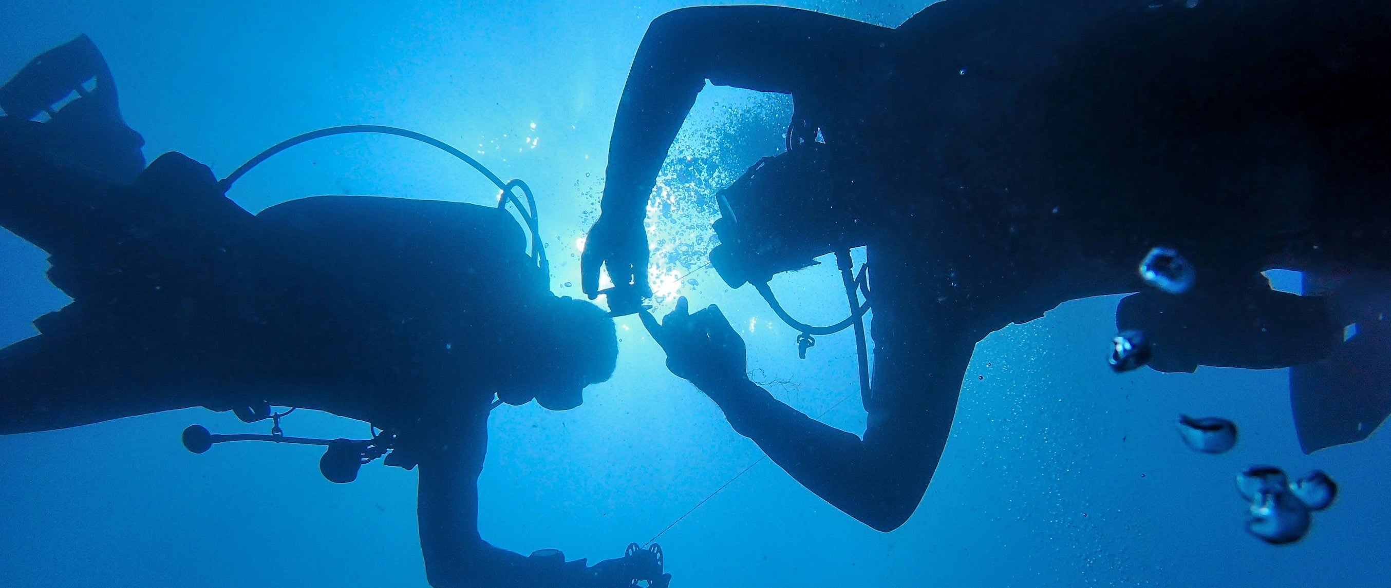 How to Handle Scuba Diving Emergencies: Essential Tips for Safe Underw
