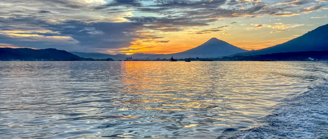 Night Diving in Lembeh Strait: Discover the Hidden Underwater Magic After Dark