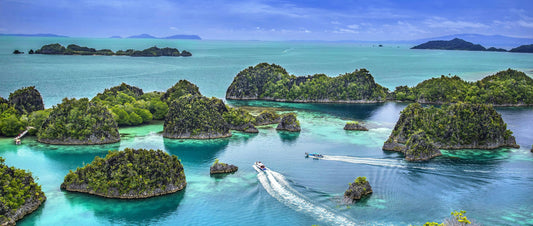 Top Diving Destinations for August: Best Spots for Whale Sharks, Mantas, and Coral Reefs