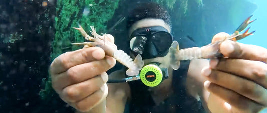 Discover the Versatility of SMACO Mini Scuba Tanks: Real User Reviews and Adventures