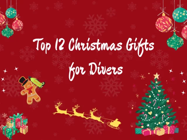 Top 12 Christmas Gifts for Divers