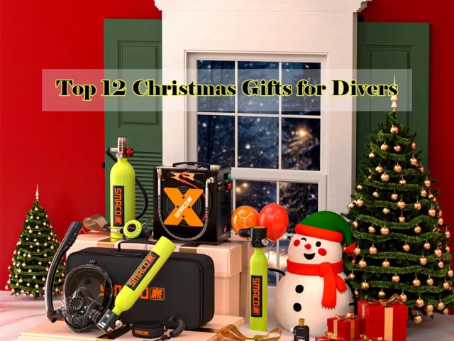 Top 12 Christmas Gifts for Divers