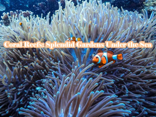 Coral Reefs: Splendid Gardens Under the Sea