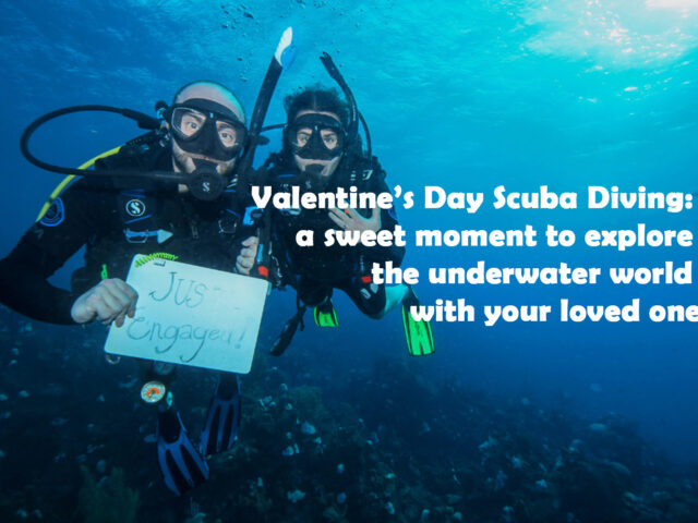 Valentine’s Day Scuba Diving: a sweet moment to explore the underwater world with your loved one